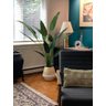 Planta Artificial Strelítzia Árvore Grande Decoração com 1.80m - 1