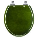 Ver imagem 1 de Assento Sanitário com Amortecedor Convencional Oval Verde Degrade para Todos Os Fabricantes
