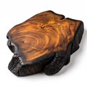Ver imagem 6 de Tábua de Corte Orgânica Shou Sugi Ban Premium Luxo Artesanal:62x40x7cm