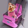 Assento Car Seat - ROSA - 2