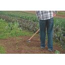 Ver imagem 2 de Enxada Larga Canavieira 2,0 S/Cabo