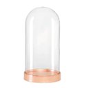 Ver imagem 1 de Redoma de Vidro com Base em Metal 21cmx10,5cm Mart Collection