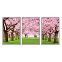 Ver imagem 1 de Kit 03 Quadros Decorativos - Cerejeiras Rosas no Parque Flnt020k - Vidro com Impressão Uv - 60x80cm