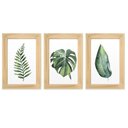 Ver imagem 2 de Kit 03 Quadros Decorativos com Moldura Folhagem Jardim 10x15cm para Cozinha Quarto