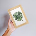 Ver imagem 3 de Kit 03 Quadros Decorativos com Moldura Folhagem Jardim 10x15cm para Cozinha Quarto