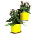 Ver imagem 3 de Jardim Vertical - Suporte de Parede Branco para 2 Vasos Pequenos | Aproveite Seu Espaço! Esquerdo