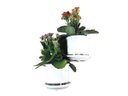 Ver imagem 5 de Jardim Vertical - Suporte de Parede Branco para 2 Vasos Pequenos | Aproveite Seu Espaço! Esquerdo