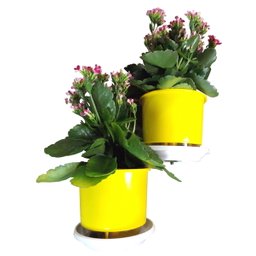 Jardim Vertical - Suporte de Parede Branco Para 2 Vasos Pequenos | Aproveite seu Espaço! Esquerdo - 3