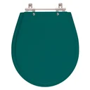 Ver imagem 1 de Assento Sanitario Poliester com Amortecedor Avalon Verde Amazonia para Vaso Ideal Standard