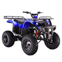 Ver imagem 1 de Adv Quadriciclo À Gasolina 150cc Atv - Azul