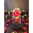 Ver imagem 4 de Kit 2 Rosa na Cúpula Led Luminária Redoma Encantada Rosa