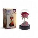 Ver imagem 3 de Kit 2 Rosa na Cúpula Led Luminária Redoma Encantada Rosa