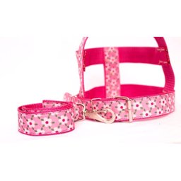 Kit Guia com peitoral 40mm rosa tamanho 11 (82 cm a 103 cm) - 3