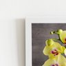 Quadro Orquídeas Amarelas Flor Vaso Moldura Branca 60x40cm - 2