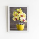Ver imagem 1 de Quadro Orquídeas Amarelas Flor Vaso Moldura Branca 60x40cm