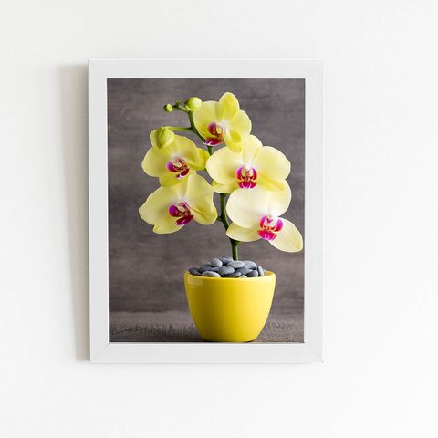 Quadro Orquídeas Amarelas Flor Vaso Moldura Branca 60x40cm