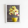 Quadro Orquídeas Amarelas Flor Vaso Moldura Branca 60x40cm - 1