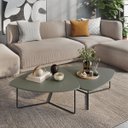 Ver imagem 1 de Kit 2 Mesas de Centro para Decoração Sala de Estar Metal Preto Design Orgânico Capri - Verde Sálvia