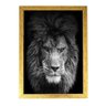 Lindo Presente Quadro Decorativo Leão Quarto Sala drd7403 - 1