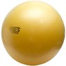Bola Fit 75cm Pretorian Bomba de Ar Faixa Elástica Média - 1