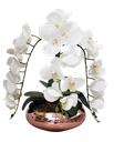 Ver imagem 1 de Arranjo Flores 3 Orquídeas Branca Toque Real Com Vaso Vidro