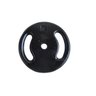Anilha Ferro Fundido Pintada Fitness Academia 10 Kg - 1