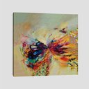 Ver imagem 1 de Quadro Animais Borboleta Iv Tela No Chassi 80X80Cm