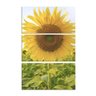 Quadro Girassol decorativo vertical para parede 3 peças - 2