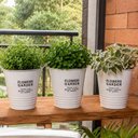 Ver imagem 2 de Balde Vaso Decorativo Enfeite Planta Arranjo Jardim Kit 3PÇS
