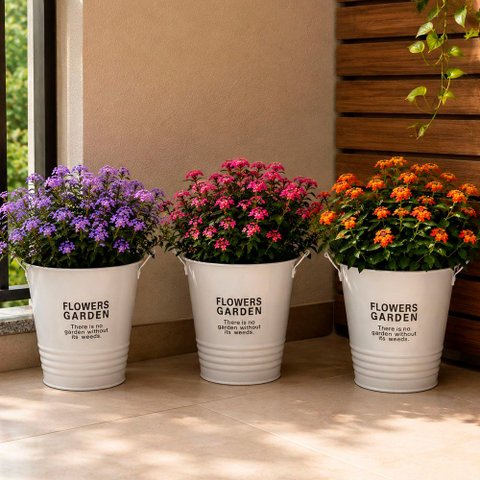 Balde Vaso Decorativo Enfeite Planta Arranjo Jardim Kit 3PÇS