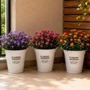 Ver imagem 1 de Balde Vaso Decorativo Enfeite Planta Arranjo Jardim Kit 3PÇS