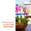 Ver imagem 4 de Vaso Bacia Safira Café 10 Terrano