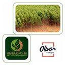Ver mais imagens de Estante Montessoriana 4 Prateleiras Branco - Olivar Móveis