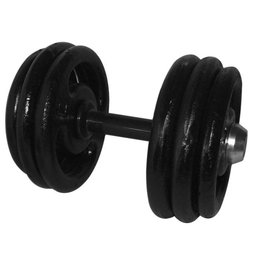 Dumbbell Pintado com pegada emborrachada 30 kg - 1