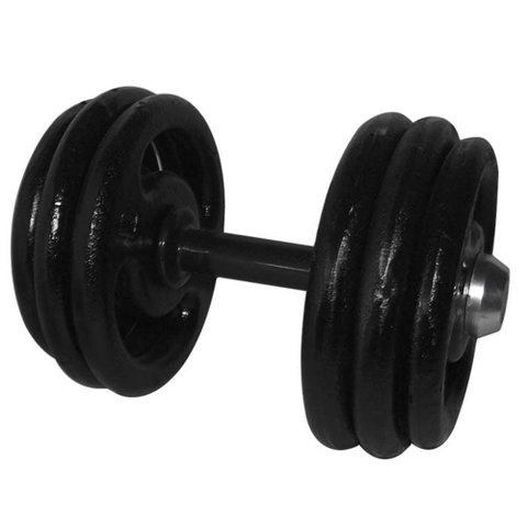 Dumbbell Pintado com pegada emborrachada 30 kg