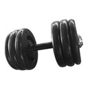 Ver imagem 1 de Dumbbell Injetado com pegada emborrachada 8 kg