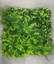 Ver imagem 5 de Painel Jardim Vertical Artificial 100x100cm Planta Decoração