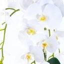Ver imagem 3 de Arranjo com 4 Orquídeas Brancas Toque Real em Terrário Prata