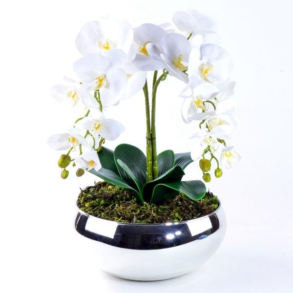Arranjo com 4 Orquídeas Brancas Toque Real Vibrante - 2
