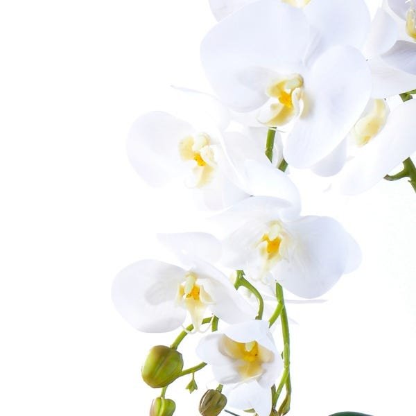 Arranjo com 4 Orquídeas Brancas Toque Real Vibrante - 3