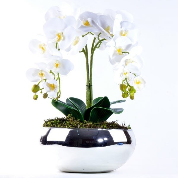 Arranjo com 4 Orquídeas Brancas Toque Real Vibrante - 1