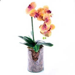 Arranjo de Orquídea 3D Laranja em Tubo de Vidro - 2