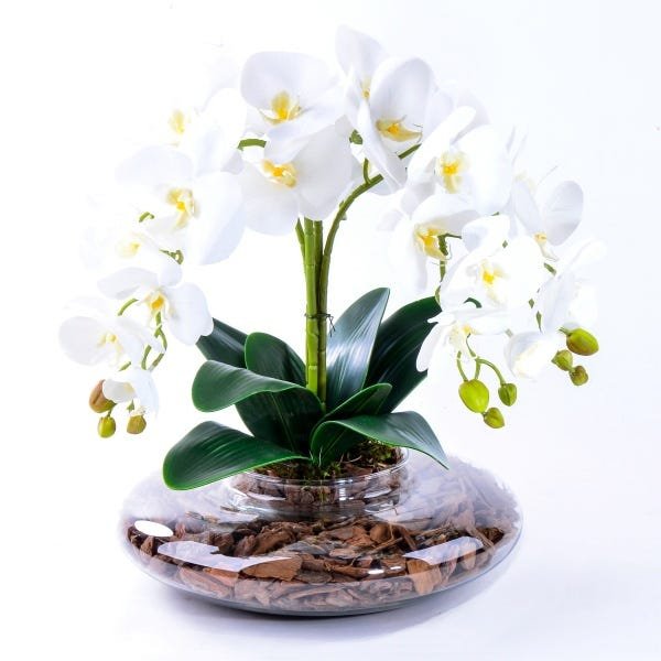 Arranjo com 4 Orquídeas Brancas Toque Real em Terrário - 2
