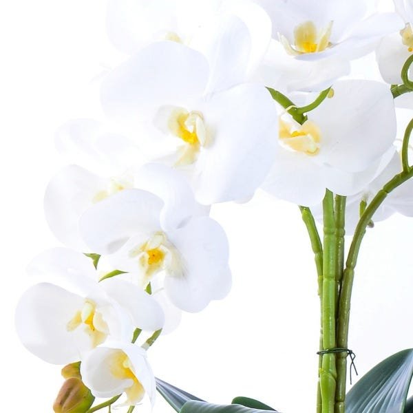 Arranjo com 4 Orquídeas Brancas Toque Real em Terrário - 3