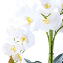 Ver imagem 3 de Arranjo com 4 Orquídeas Brancas Toque Real em Terrário