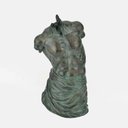 Ver imagem 1 de Estatueta Fuerza Blue Gardenia