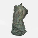 Ver imagem 2 de Estatueta Fuerza Blue Gardenia
