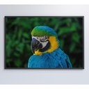 Ver imagem 4 de Quadro Arara 90x60 Cm Tecido Canvas