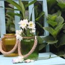 Ver imagem 5 de Lanterna Decorativa Redonda em Vidro para Vela Isadora Design