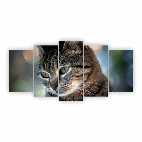 Quadro Animais - Gato - Petshop - Mascotes Decorativo em Mdf